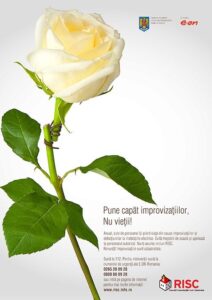 Whatsapp Image 2024 11 25 At 09.30.16