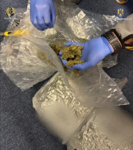 Whatsapp Image 2024 11 26 At 15.19.21