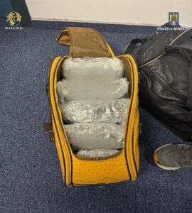 Whatsapp Image 2024 11 26 At 15.19.22