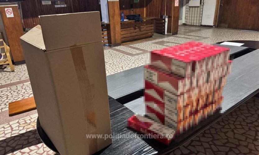 1733215463138 Tig1 S4