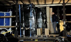 1733215464107 Tig2 S4