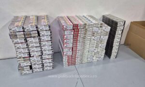 1733647747253 20012 S4