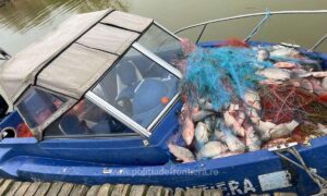 1736669443224 50987 S4