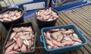 1736669443274 50986 S4