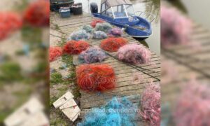 1736669444222 50985 S4