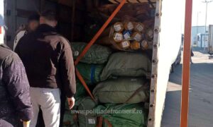 1737541656202 20259 S4