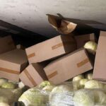 173813807663 20296 S4