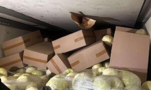 173813807663 20296 S4