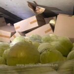 1738138077232 20294 S4