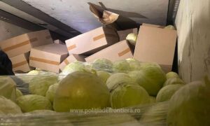 1738138077232 20294 S4