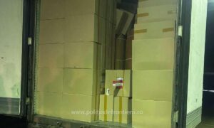 1738138079278 20290 S4