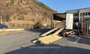 1738341196447 20313 S4