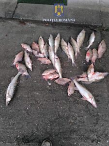 Whatsapp Image 2025 01 27 At 14.04.00