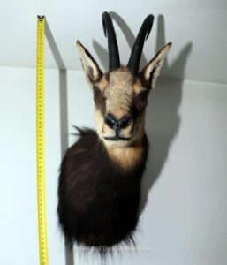 1739695328452 20359 S4