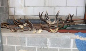 1739695329433 20356 S4