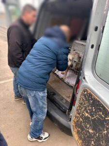 Whatsapp Image 2025 02 08 At 11.28.07