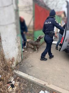 Whatsapp Image 2025 02 08 At 11.28.08 (1)