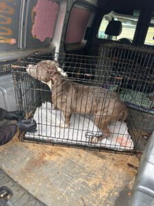 Whatsapp Image 2025 02 08 At 11.28.08