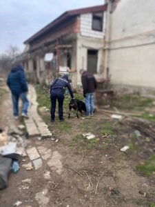 Whatsapp Image 2025 02 08 At 11.28.09