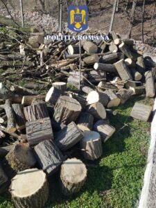 Whatsapp Image 2025 02 10 At 12.57.10 (1)