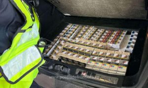 1741163942240 20405 s4