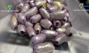 174133624352 20436 s4