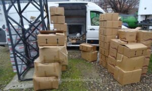 1741861897276 20454 s4