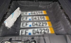 1742456571414 20514 s4