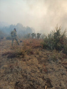 1 ministerul apărării naționale acționează pentru stingerea unor incendii de vegetație