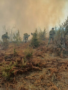 2 ministerul apărării naționale acționează pentru stingerea unor incendii de vegetație