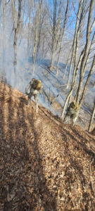 3 ministerul apărării naționale acționează pentru stingerea unor incendii de vegetație