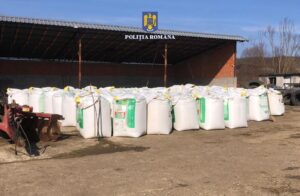 Whatsapp image 2025 03 05 at 11.02.08