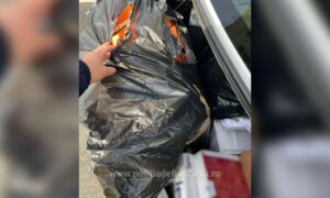 1744968323310 433 s4 (1)