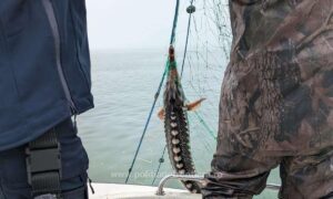 1745480762233 464 s4