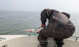 1745480762349 463 s4