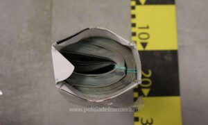 175057653261 40583 s4