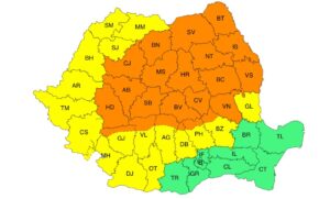 510480161 1029089396053343 5272920771138854520 n