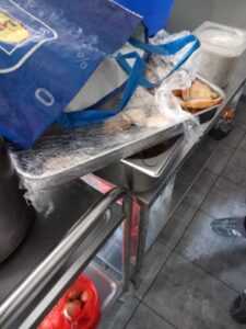 Whatsapp image 2025 06 03 at 16.48.44