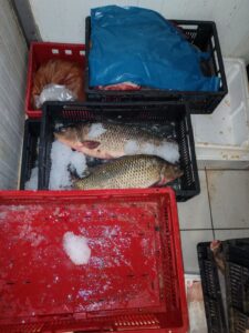 Whatsapp image 2025 06 13 at 13.12.30