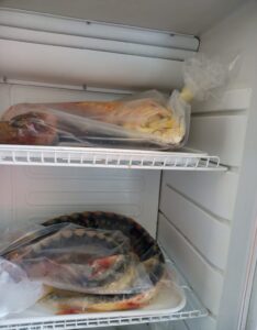 Whatsapp image 2025 06 13 at 13.16.49