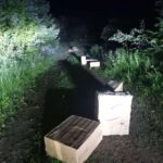 175317765097 40721 s4