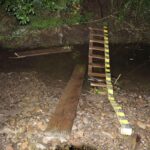 1753177860255 40729 s4