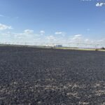 Whatsapp image 2025 07 17 at 09.00.16