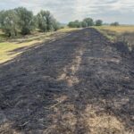 Whatsapp image 2025 07 17 at 09.00.33