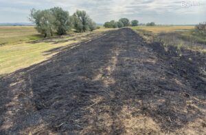 Whatsapp image 2025 07 17 at 09.00.33