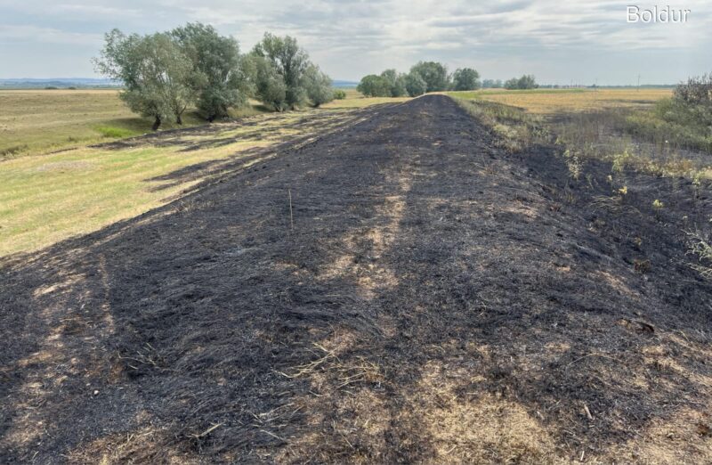 Whatsapp image 2025 07 17 at 09.00.33