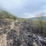 Whatsapp image 2025 07 17 at 09.00.55