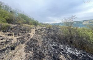 Whatsapp image 2025 07 17 at 09.00.55