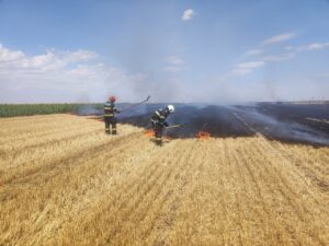 Whatsapp image 2025 07 21 at 15.34.55