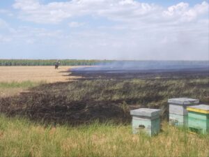 Whatsapp image 2025 07 21 at 15.34.57